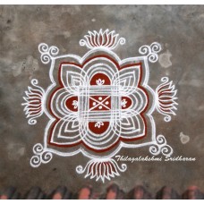 PADI KOLAM 20